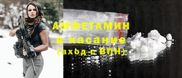 гашик Гусев