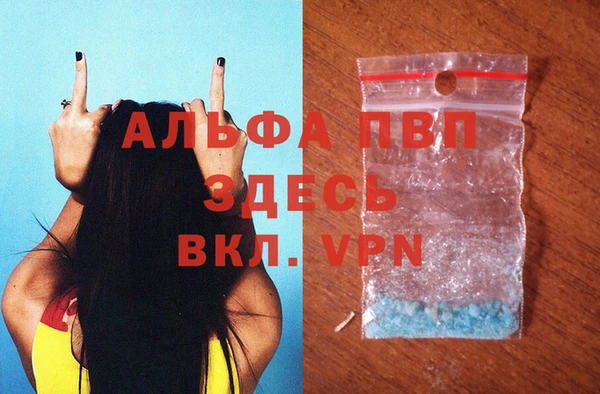 стаф Гусиноозёрск