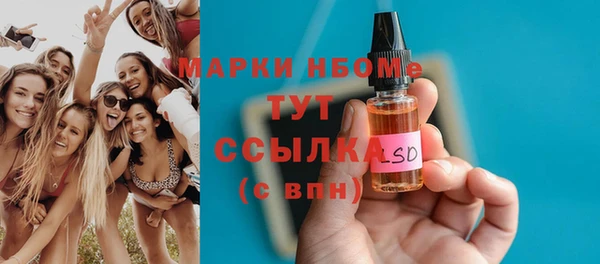 индика Семилуки
