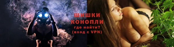 гашик Гусев