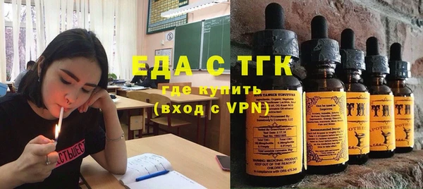 гашик Гусев