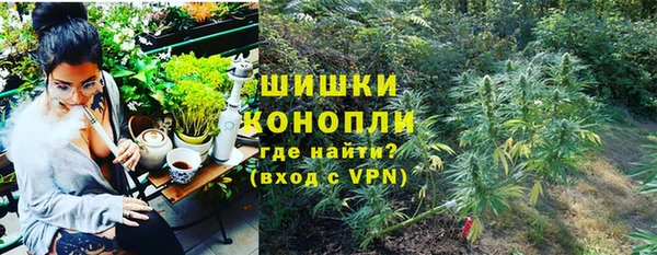 гашик Гусев