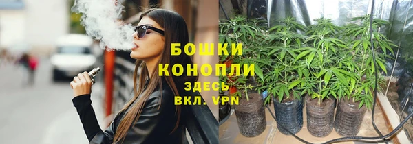 стаф Гусиноозёрск