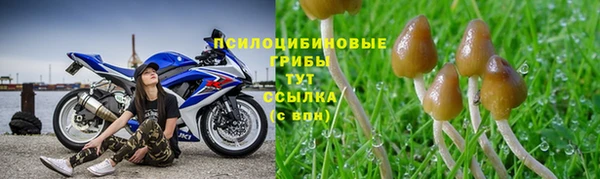 герыч Гусь-Хрустальный