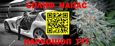 гидропоника Бугуруслан