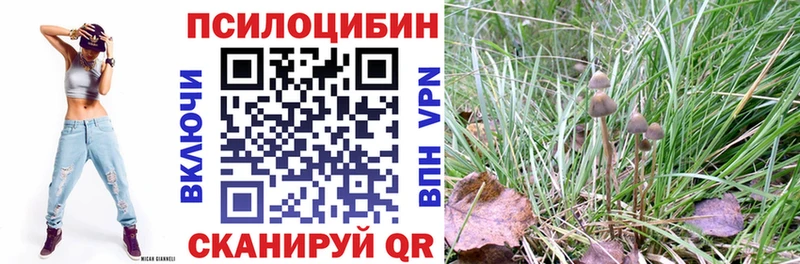 Галлюциногенные грибы мицелий  Вольск 