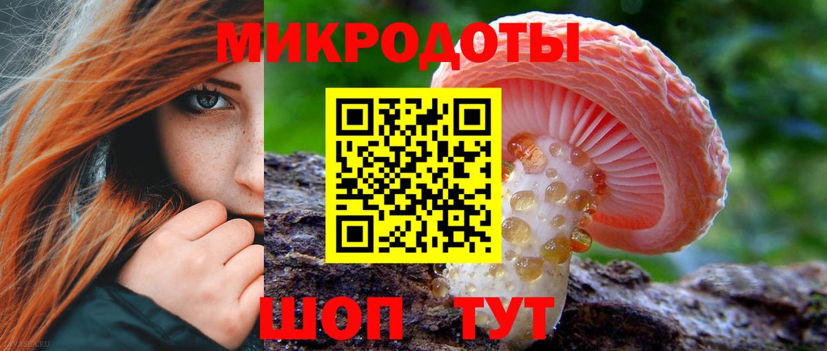Галлюциногенные грибы Psilocybe  Вольск  Псилоцибиновые грибы GOLDEN TEACHER 