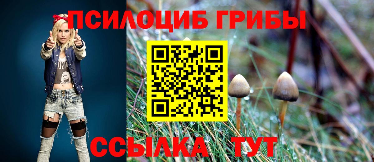 Вольск  Псилоцибиновые грибы мицелий  Вход с VPN 