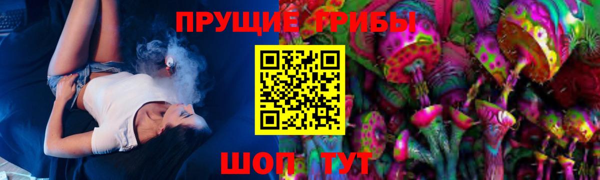 Псилоцибиновые грибы Cubensis Вольск